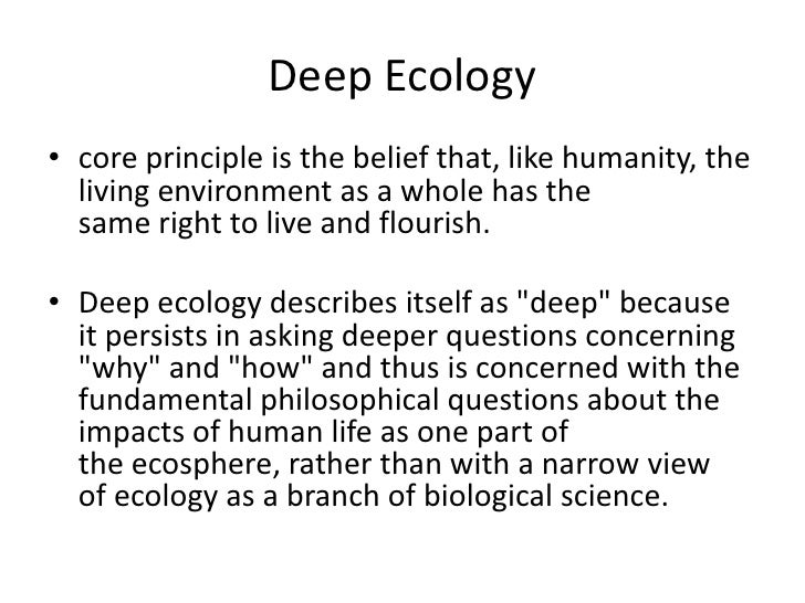 essays on christians and the environment A single point of view on hot religious topics, or: since about 70% of americans and canadians identify themselves as christians environment/climate: same. essays on christians and the environment A single point of view on hot religious topics, or: since about 70% of americans and canadians identify themselves as christians environment/climate: same.