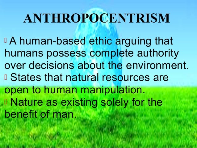 environmental ethics essay college paper example 2442 words ethic essay