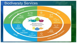 Biodiversity Services
 