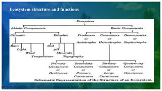 Ecosystem structure and functions
https://theintactone.com/2019/10/29/es-u2-topic-1-ecosystems-concept-structure-and-function/
 