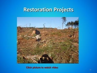 Restoration Projects




 Click picture to watch video
                                10
 