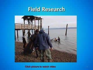 Field Research




Click picture to watch video   4
 