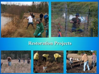 Restoration Projects




                       9
 