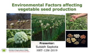 Environmental Factors affecting
vegetable seed production
Presenter:
Subash Sapkota
HRT-12M-2019
 