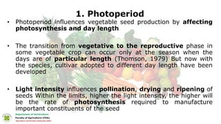 1. Photoperiod
• Photoperiod influences vegetable seed production by affecting
photosynthesis and day length
• The transition from vegetative to the reproductive phase in
some vegetable crop can occur only at the season when the
days are of particular length (Thomson, 1979) But now with
the species, cultivar adopted to different day length have been
developed
• Light intensity influences pollination, drying and ripening of
seeds Within the limits, higher the light intensity, the higher will
be the rate of photosynthesis required to manufacture
important constituents of the seed
 