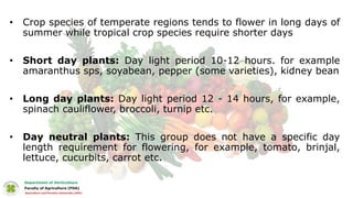 • Crop species of temperate regions tends to flower in long days of
summer while tropical crop species require shorter days
• Short day plants: Day light period 10-12 hours. for example
amaranthus sps, soyabean, pepper (some varieties), kidney bean
• Long day plants: Day light period 12 - 14 hours, for example,
spinach cauliflower, broccoli, turnip etc.
• Day neutral plants: This group does not have a specific day
length requirement for flowering, for example, tomato, brinjal,
lettuce, cucurbits, carrot etc.
 