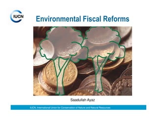 Environmental Fiscal Reforms




                                     Saadullah Ayaz

IUCN, International Union for Conservation of Nature and Natural Resources
 
