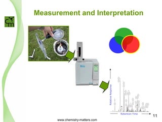 Measurement and Interpretation 
Retention Time 
Relative Response 
S 
S 
www.chemistry-matters.com 
11 
 