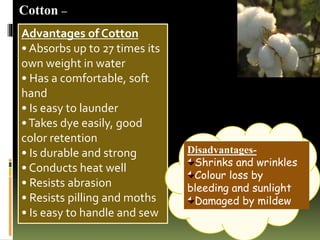 Cotton –
Advantages of Cotton
• Absorbs up to 27 times its
own weight in water
• Has a comfortable, soft
hand
• Is easy to launder
•Takes dye easily, good
color retention
• Is durable and strong
• Conducts heat well
• Resists abrasion
• Resists pilling and moths
• Is easy to handle and sew
Disadvantages-
Shrinks and wrinkles
Colour loss by
bleeding and sunlight
Damaged by mildew
 