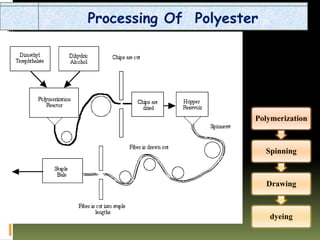 Processing Of Polyester
Polymerization
Spinning
Drawing
dyeing
 