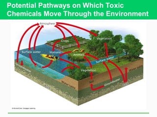 Environmental Hazards and Human Health.ppt