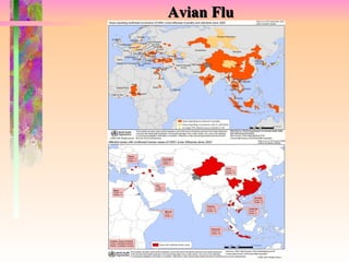 Avian Flu 