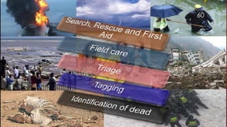 Environmental health and disaster management | PDF