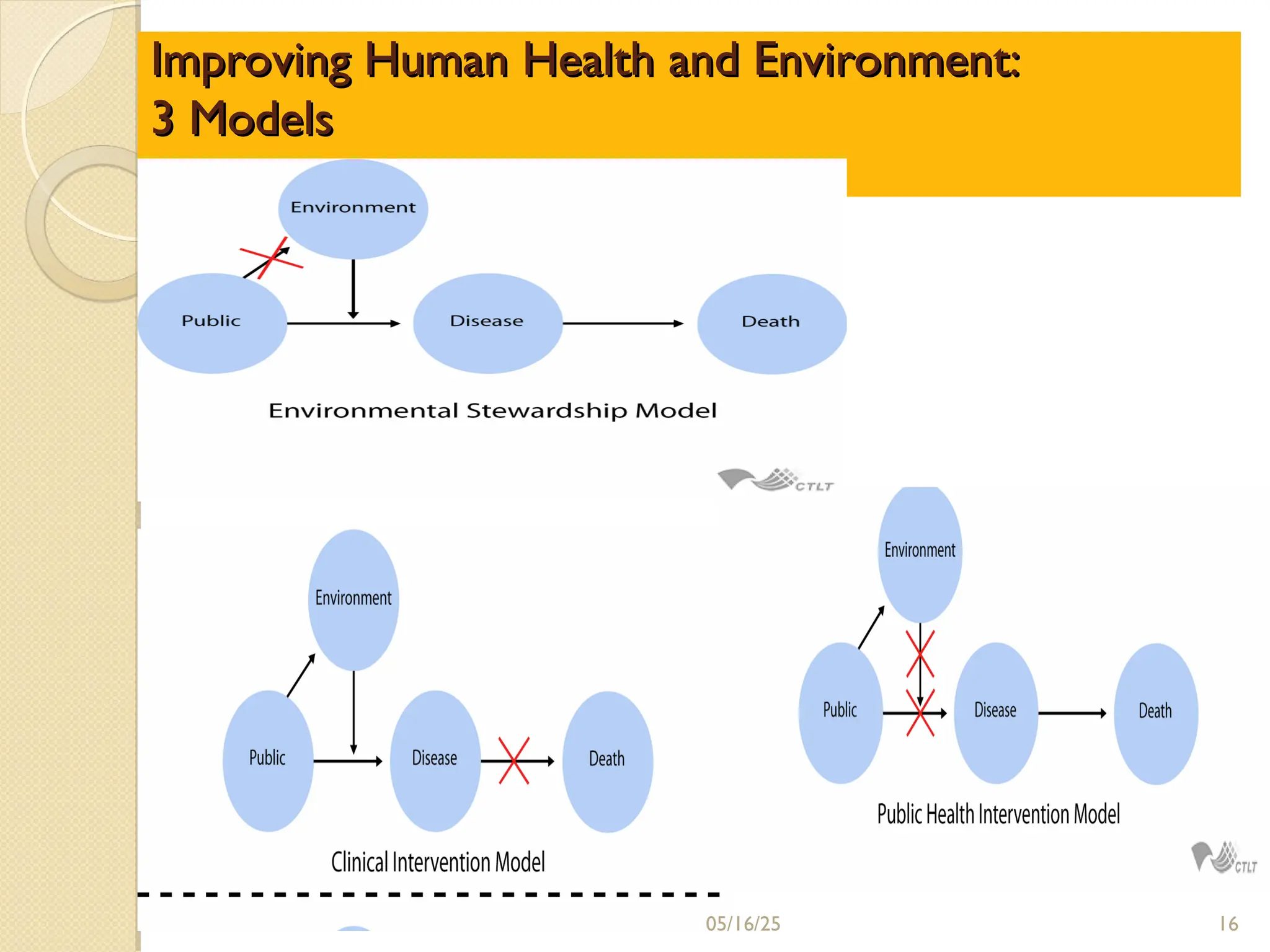 Improving Human Health and Environment:
Improving Human Health and Environment:
3 Models
3 Models
05/16/25 16
 