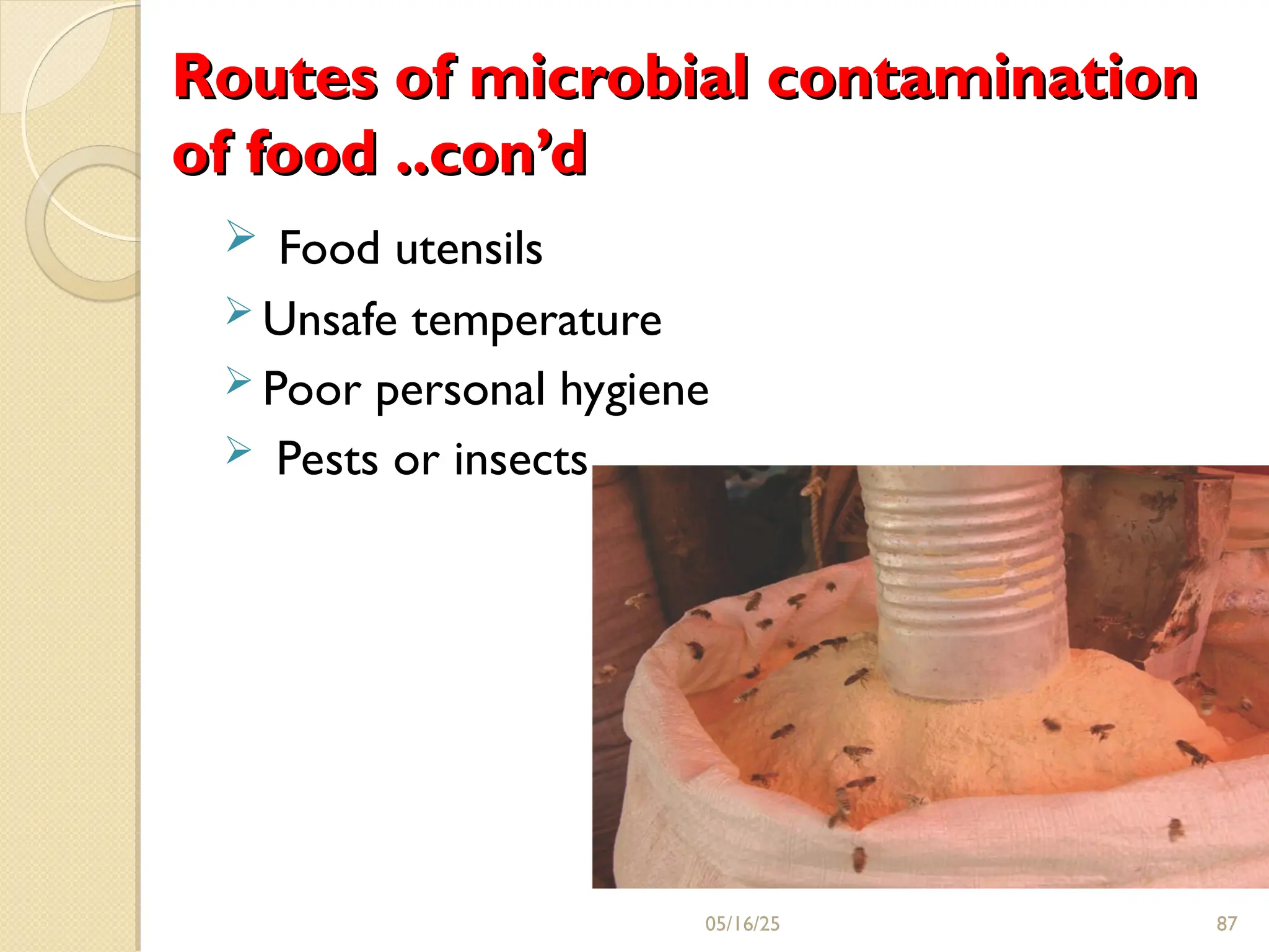 Routes of microbial contamination
Routes of microbial contamination
of food ..con’d
of food ..con’d
 Food utensils
 Unsafe temperature
 Poor personal hygiene
 Pests or insects
05/16/25 87
 