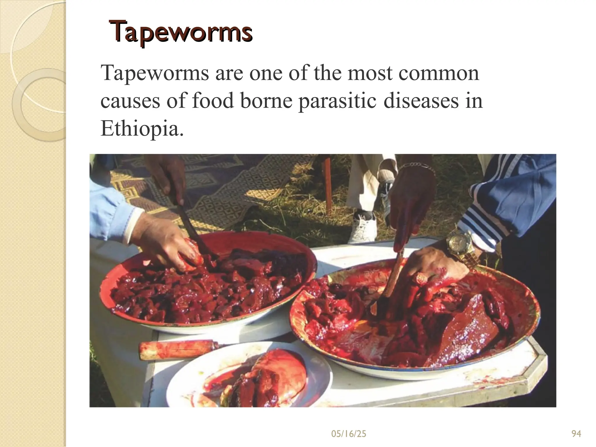 Tapeworms
Tapeworms
Tapeworms are one of the most common
causes of food borne parasitic diseases in
Ethiopia.
05/16/25 94
 
