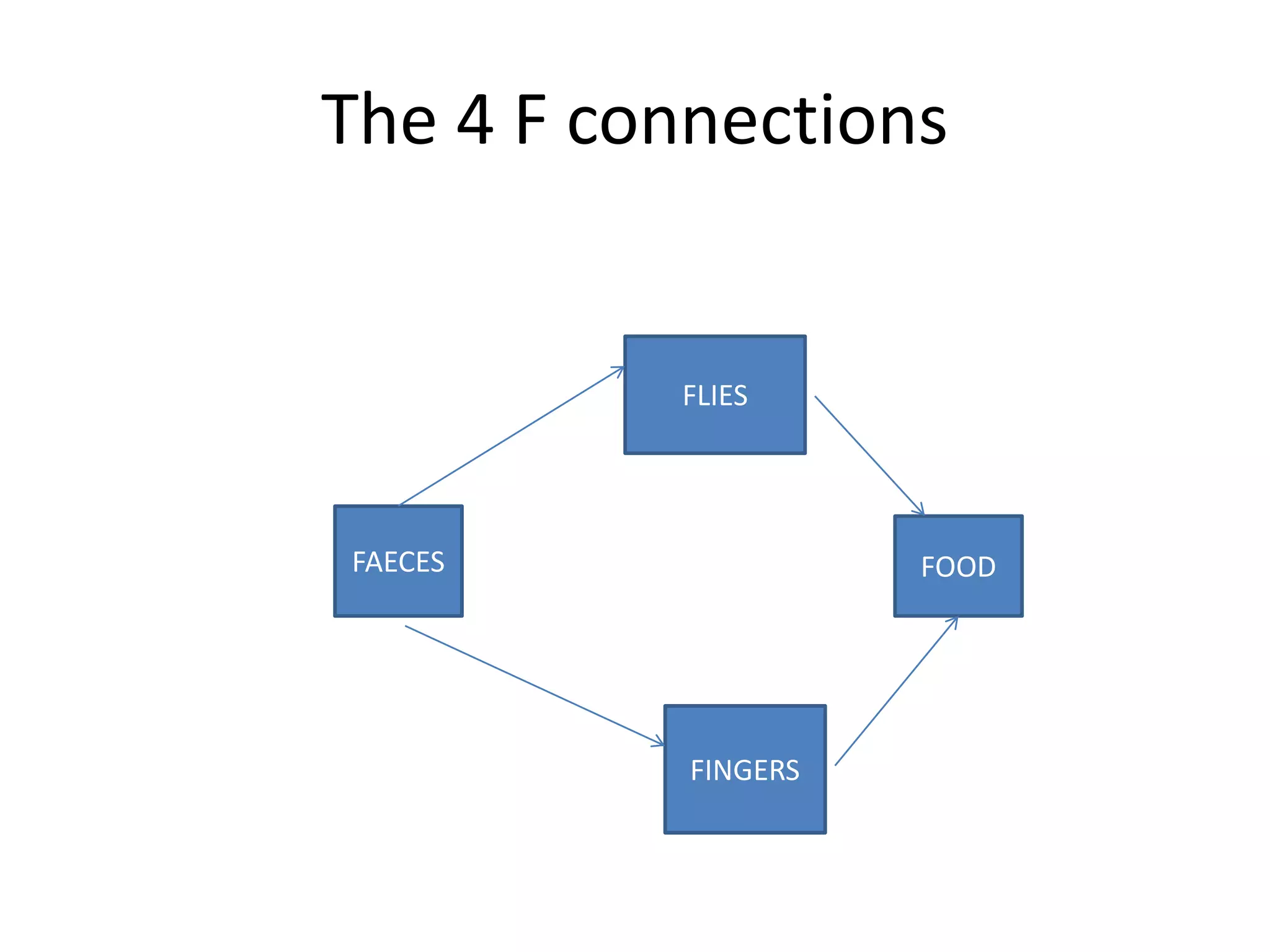 The 4 F connections
FLIES
FOOD
FAECES
FINGERS
 