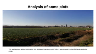 Analysis of some plots
This is a large plot without boundaries. It is dedicated to a monocrop of corn. It is an irrigated ...
