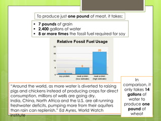 To produce just one pound of meat, it takes:
 7 pounds of grain
 2,400 gallons of water
 8 or more times the fossil fuel required for soy
“Around the world, as more water is diverted to raising
pigs and chickens instead of producing crops for direct
consumption, millions of wells are going dry.
India, China, North Africa and the U.S. are all running
freshwater deficits, pumping more from their aquifers
than rain can replenish.” Ed Ayres, World Watch
Institute
In
comparison, it
only takes 14
gallons of
water to
produce one
pound of
wheat
 
