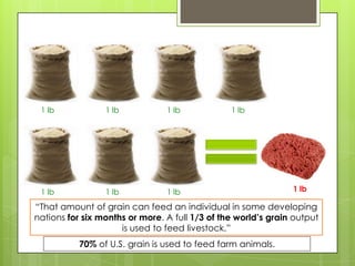 “That amount of grain can feed an individual in some developing
nations for six months or more. A full 1/3 of the world’s grain output
is used to feed livestock.”
70% of U.S. grain is used to feed farm animals.
1 lb 1 lb 1 lb 1 lb
1 lb 1 lb 1 lb 1 lb
 