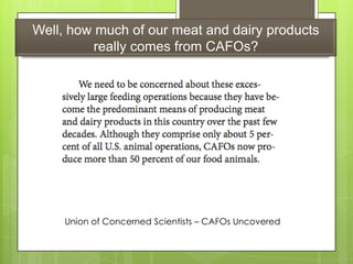 Well, how much of our meat and dairy products
really comes from CAFOs?
Union of Concerned Scientists – CAFOs Uncovered
 