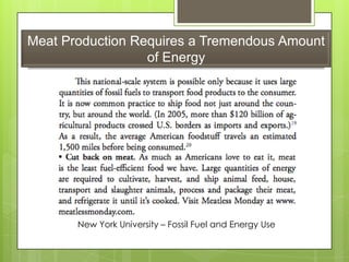 Meat Production Requires a Tremendous Amount
of Energy
New York University – Fossil Fuel and Energy Use
 
