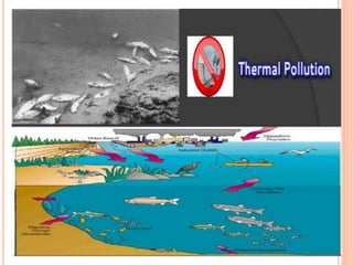Environmental impact of thermal power plant | PPTX