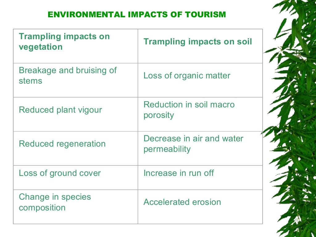 Environmental impact of tourism