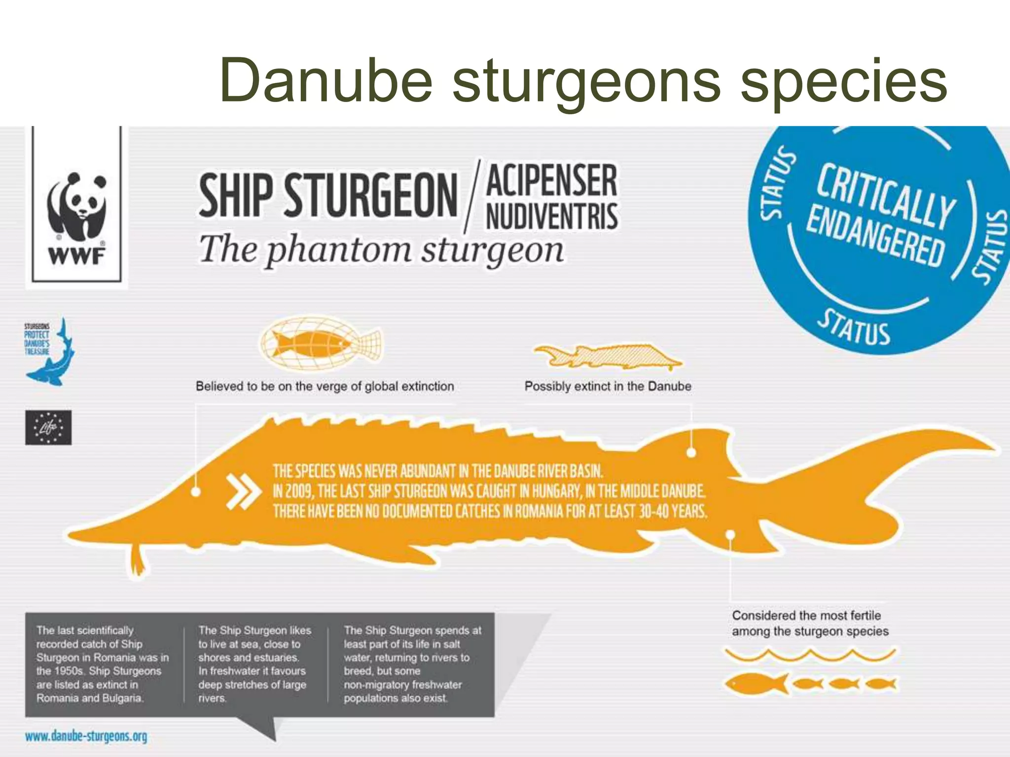 What Are The Environmental Impacts Of Hydroelectric Power www.slideshare.net