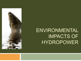 ENVIRONMENTAL
IMPACTS OF
HYDROPOWER
 