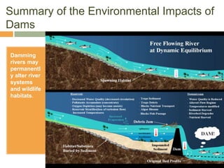 Environmental impacts of hydroelectric power | PPTX