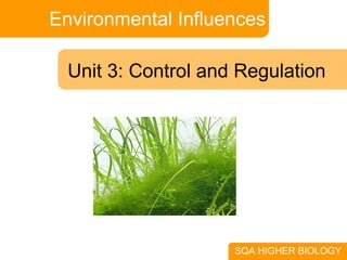 Environmental Influences SQA HIGHER BIOLOGY Unit 3: Control and Regulation 