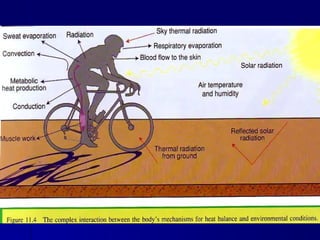 Environmental influences on_performance,_exercise_in_hypobaric ...