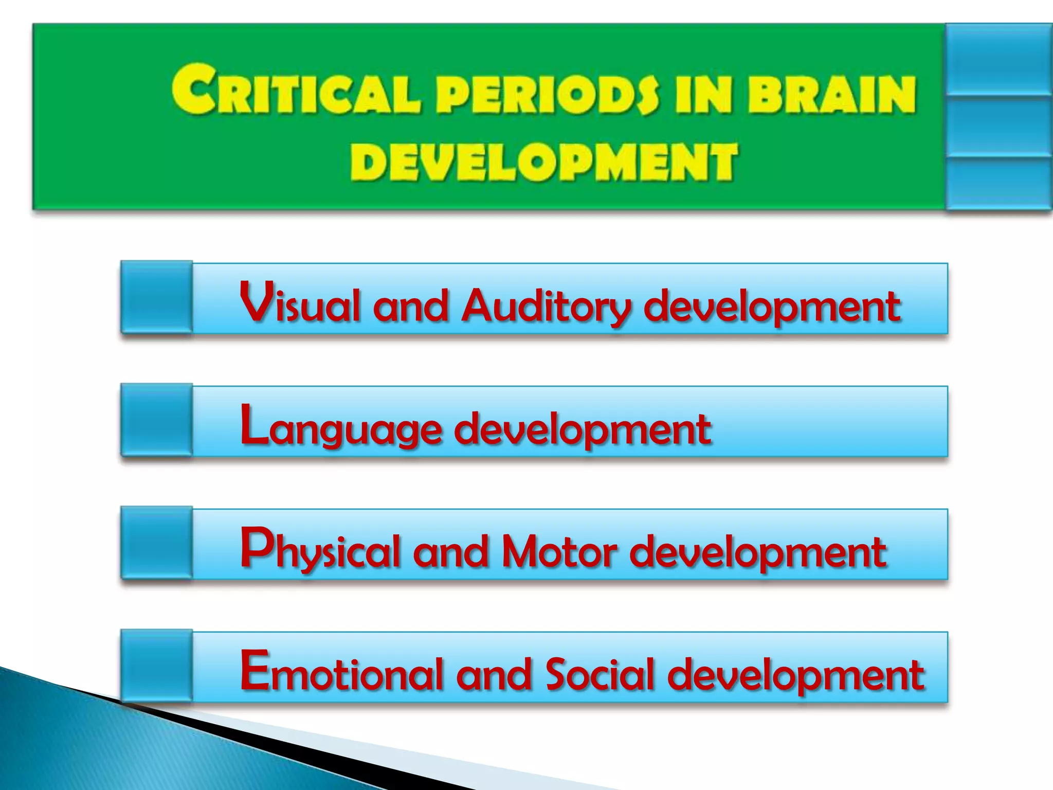 CRITICAL PERIODS IN BRAIN DEVELOPMENT	Visual and Auditory development 	Language development 	Physical and Motor development    	Emotional and Social development 