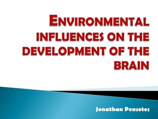 Environmental Influences on theDevelopment of the Brain Jonathan Pensotes 
