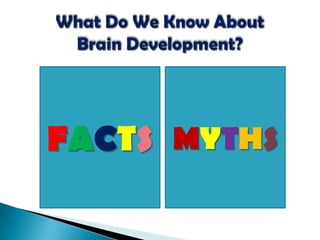 Environmental Influences On The Development Of The Brain | PPTX