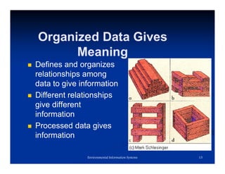 Organized Data Gives
Meaning
 Defines and organizes
relationships among
data to give information
 Different relationships
give different
information
 Processed data gives
information
Environmental Information Systems 13
 
