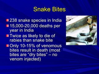Snake Bites 238 snake species in India 15,000-20,000 deaths per year in India Twice as likely to die of rabies than snake bite Only 10-15% of venomous bites result in death (most bites are “dry bites” – no venom injected) 