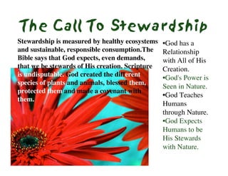 Environmentalism Presentation