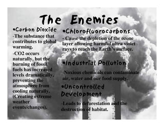 Environmentalism Presentation