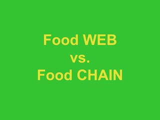 Food WEB vs. Food CHAIN 