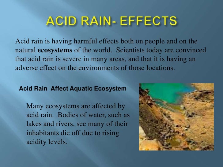 acid rain essay acid rain essay