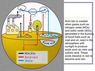 Acid rain is created
when gases such as
nitrogen oxide (NOx)
and sulfur oxide (SOx),
generated in the burning
of fossil fuels such as
coal and oil, react in the
atmosphere with
sunlight to produce
acids such as nitric and
sulfuric acid. These
acids dissolve in rain to
become acid rain.
 