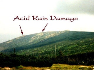 Environmental issues