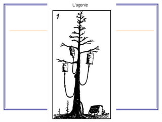 Environmental issues