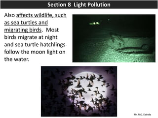 Mr. R.G. Estrella
Also affects wildlife, such
as sea turtles and
migrating birds. Most
birds migrate at night
and sea turtle hatchlings
follow the moon light on
the water.
Section 8 Light Pollution
 