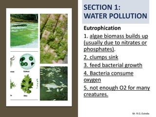 Mr. R.G. Estrella
Eutrophication
1. algae biomass builds up
(usually due to nitrates or
phosphates).
2. clumps sink
3. feed bacterial growth
4. Bacteria consume
oxygen
5. not enough O2 for many
creatures.
 