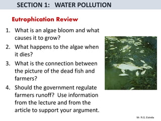 Mr. R.G. Estrella
Eutrophication Review
1. What is an algae bloom and what
causes it to grow?
2. What happens to the algae when
it dies?
3. What is the connection between
the picture of the dead fish and
farmers?
4. Should the government regulate
farmers runoff? Use information
from the lecture and from the
article to support your argument.
 
