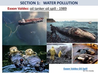 Mr. R.G. Estrella
Exxon Valdez Oil Spill
Exxon Valdez: oil tanker oil spill - 1989
 