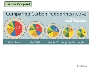 Mr. R.G. Estrella
Carbon footprint
 